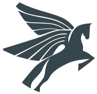 Pegasus Consult